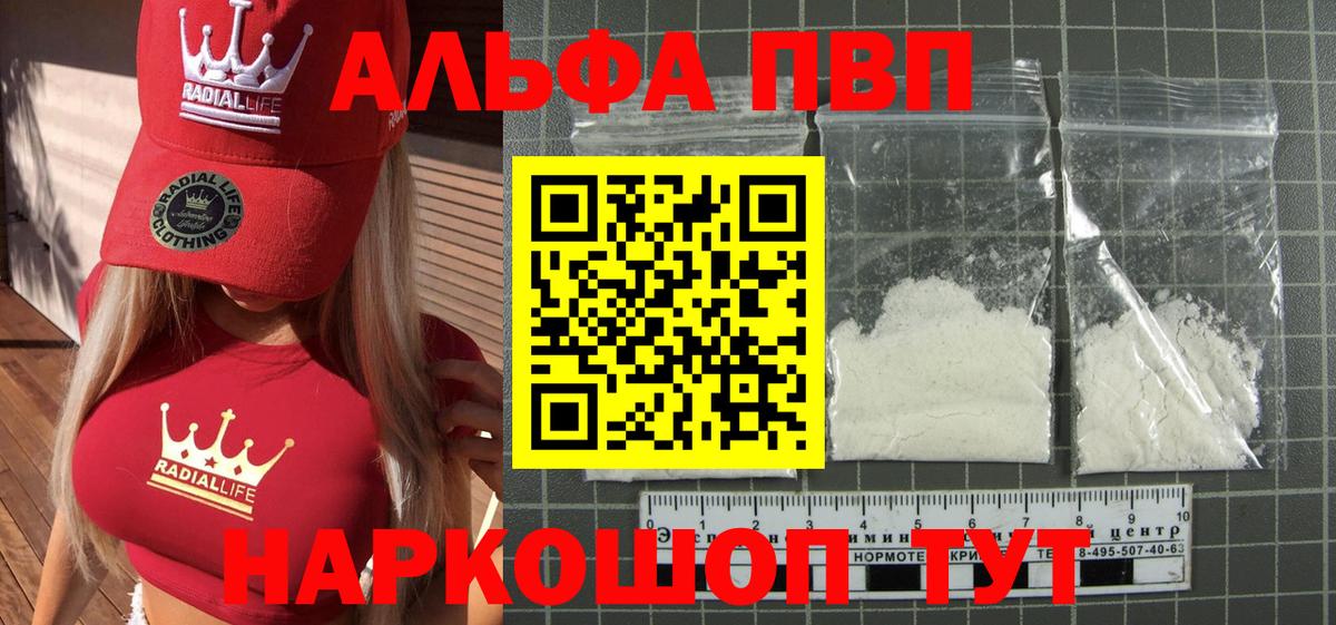 Альфа ПВП СК Клинцы