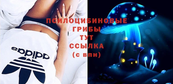 мдпв Заволжье