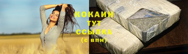 гидра Заволжск