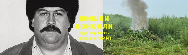 мдпв Заволжье