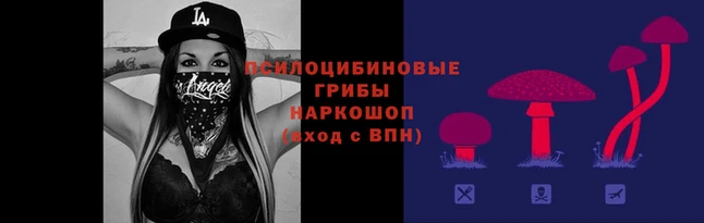 гидра Заволжск
