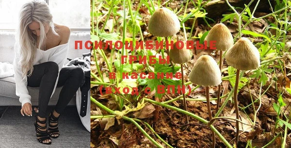 мдпв Заволжье