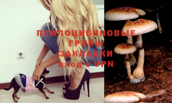 каннабис Шали