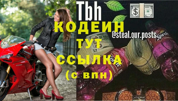 гидра Заволжск