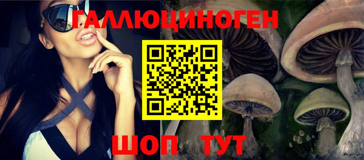 Псилоцибиновые грибы Psilocybe  Вход с VPN  Клинцы 